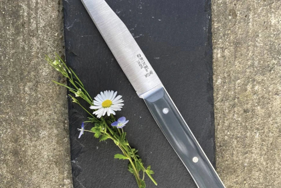 Opinel Set of 4 Facette Slate Micro Serrated table knives